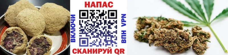 где найти наркотики omg Еда ТГК марихуана сайты даркнета клад Сегежа