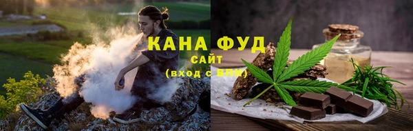 индика Белокуриха