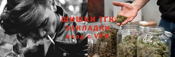 индика Белокуриха