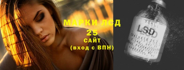 индика Белокуриха