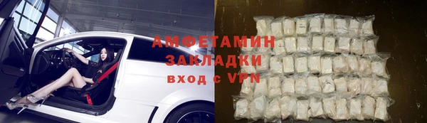индика Белокуриха