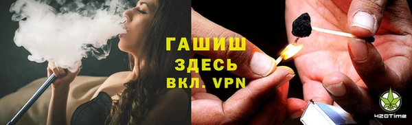 индика Белокуриха