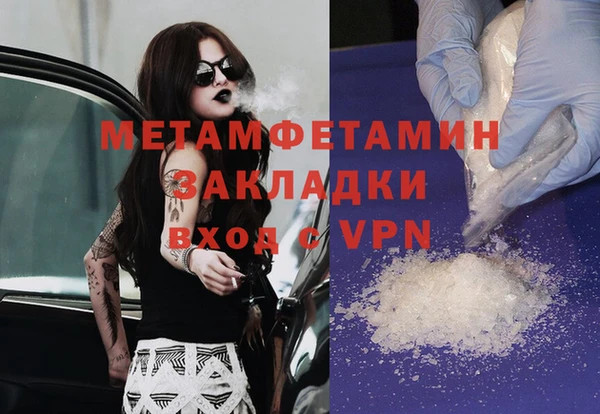 индика Белокуриха