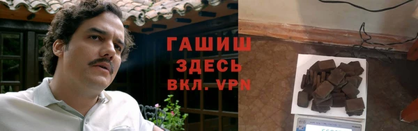 индика Белокуриха