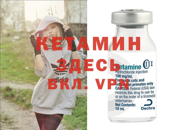 индика Белокуриха