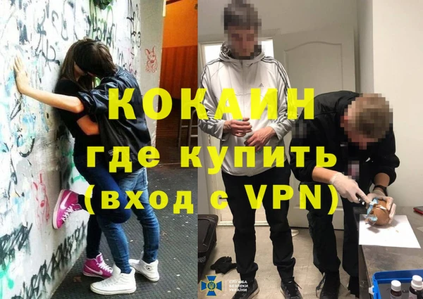 индика Белокуриха