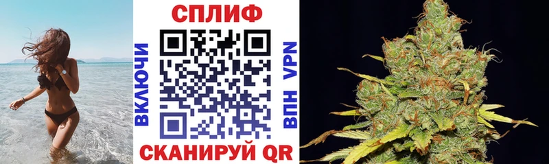 цены Сегежа Бошки марихуана индика